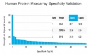EIF4E Antibody HuProt Microarray. Analysis of a HuProt(TM) microarray containing more than 19,000 full-length human proteins using EIF4E antibody detecting Eukaryotic translation initiation factor 4E, clone PCRP-EIF4E-1D3. The antibody shows a strong and specific signal for EIF4E with a high Z-score and clear separation from lower-ranked proteins, resulting in an S-score consistent with target specificity. Z-score represents signal intensity in standard deviations above the array mean, while S-score reflects the difference between the top-ranked target and subsequent signals, indicating relative binding specificity of the monoclonal antibody.