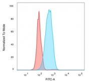 IRF3 Antibody MCF-7 FACS. Flow cytometry analysis of PFA-fixed human MCF-7 cells stained with IRF3 Antibody demonstrates a distinct right-shifted fluorescence population relative to unstained cells, consistent with IRF3-associated innate immune signaling and interferon regulatory pathway expression. This innate immune signaling antibody supports characterization of antiviral response-associated transcriptional regulatory proteins in epithelial-derived tumor cells. Blue=IRF3 antibody, Red=unstained cells.