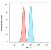 IRF3 Antibody K562 FACS. Flow cytometry analysis of PFA-fixed human K562 cells stained with IRF3 Antibody demonstrates a distinct right-shifted fluorescence population relative to unstained cells, consistent with IRF3-associated innate immune signaling and interferon regulatory pathway expression. This innate immune signaling antibody supports characterization of antiviral response-associated transcriptional regulatory proteins in hematologic-derived cells. Blue=IRF3 antibody, Red=unstained cells.