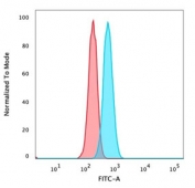 IRF3 Antibody HeLa FACS. Flow cytometry analysis of PFA-fixed human HeLa cells stained with IRF3 Antibody demonstrates a distinct right-shifted fluorescence population relative to unstained cells, consistent with IRF3-associated innate immune signaling and interferon regulatory pathway expression. This innate immune signaling antibody supports characterization of antiviral response-associated transcriptional regulatory proteins in epithelial-derived cells. Blue=IRF3 antibody, Red=unstained cells.