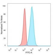 IRF3 Antibody U87 FACS. Flow cytometry analysis of PFA-fixed human U87 cells stained with IRF3 Antibody demonstrates a distinct right-shifted fluorescence population relative to unstained cells, consistent with IRF3-associated innate immune signaling and interferon regulatory pathway expression. This innate immune signaling antibody supports characterization of antiviral response-associated transcriptional regulatory proteins in glioblastoma-derived cells. Blue=IRF3 antibody, Red=unstained cells.