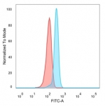 FACS staining of PFA-fixed human HeLa cells with SPIC antibody (blue, clone PCRP-SPIC-2C5), and unstained cells (red).