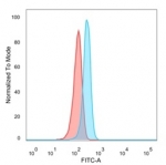 EIF2S1 Antibody HeLa FACS. Flow cytometry analysis of PFA-fixed human HeLa cells stained with EIF2S1 antibody detecting eIF2 alpha, clone PCRP-EIF2S1-1C11. The antibody signal (blue) shows a rightward shift relative to the isotype control (red), indicating positive intracellular detection of EIF2S1 following fixation and permeabilization. This staining pattern is consistent with EIF2S1 as a cytoplasmic translation initiation factor associated with ribosome-mediated protein synthesis.