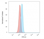 SMAD3 Antibody HeLa Cell FACS. Flow cytometric analysis was performed on paraformaldehyde-fixed human HeLa cells using SMAD3 Antibody clone PCRP-SMAD3-1A2. The red histogram represents unstained cells, while the blue histogram represents cells stained with the SMAD3 antibody. A clear rightward shift of the stained cell population relative to the unstained control demonstrates specific antibody binding and confirms SMAD3 expression in HeLa cells. These results demonstrate that this TGF-beta Signaling Protein Antibody, a Protein Microarray Validated mouse monoclonal, is suitable for flow cytometric detection of SMAD3.