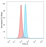 FACS staining of PFA-fixed human HeLa cells with RPS6KA5 antibody (blue, clone PCRP-RPS6KA5-1A8) and isotype control (red).
