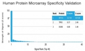 Analysis of HuProt(TM) microarray containing more than 19,000 full-length human proteins using Cytokeratin 14 antibody (clone KRT14/4129). These results demonstrate the foremost specificity of the KRT14/4129 mAb. Z- and S- score: The Z-score represents the strength of a signal that an antibody (in combination with a fluorescently-tagged anti-IgG secondary Ab) produces when binding to a particular protein on the HuProt(TM) array. Z-scores are described in units of standard deviations (SD's) above the mean value of all signals generated on that array. If the targets on the HuProt(TM) are arranged in descending order of the Z-score, the S-score is the difference (also in units of SD's) between the Z-scores. The S-score therefore represents the relative target specificity of an Ab to its intended target.