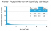 Apolipoprotein E Antibody Protein Microarray Validation. Analysis of the HuProt human protein microarray containing more than 19,000 full-length human proteins using Apolipoprotein E antibody (clone APOE/3671). The antibody demonstrates exceptional specificity for APOE, with the strongest signal detected for the intended target and minimal cross-reactivity with other proteins on the array. HuProt validation reports both Z-score and S-score values, where the Z-score reflects the strength of antibody binding relative to all proteins on the array, while the S-score measures target specificity by comparing the highest-ranked signal with the next strongest signal. These results confirm the high specificity of clone APOE/3671 for APOE.