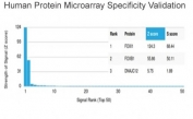 FOXI1 Antibody HuProt Microarray Specificity Validation. Analysis of a HuProt(TM) microarray containing more than 19,000 full-length human proteins using FOXI1 Antibody / Forkhead Box Transcription Factor Marker clone PCRP-FOXI1-1F8 demonstrates exceptional specificity for Forkhead box protein I1 / FOXI1. FOXI1 ranks first among all proteins analyzed on the array, with extremely strong separation from secondary signals, supporting the highly selective recognition profile of this mouse monoclonal antibody for forkhead transcription factor and developmental signaling research applications. Z-score represents signal intensity above background in standard deviation units, while S-score reflects the relative specificity of antibody binding compared with other proteins present on the HuProt(TM) platform.
