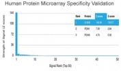 Analysis of HuProt(TM) microarray containing more than 19,000 full-length human proteins using S100 beta/S100B antibody (clone S100B/4149). These results demonstrate the foremost specificity of the S100B/4149 mAb. Z- and S- score: The Z-score represents the strength of a signal that an antibody (in combination with a fluorescently-tagged anti-IgG secondary Ab) produces when binding to a particular protein on the HuProt(TM) array. Z-scores are described in units of standard deviations (SD's) above the mean value of all signals generated on that array. If the targets on the HuProt(TM) are arranged in descending order of the Z-score, the S-score is the difference (also in units of SD's) between the Z-scores. The S-score therefore represents the relative target specificity of an Ab to its intended target.