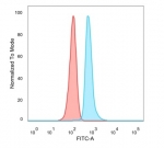 FACS staining of PFA-fixed human HeLa cells with DMRT2 antibody (blue, clone PCRP-DMRT2-1B11) and isotype control (red).