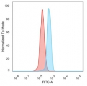 DCP2 Antibody HeLa Cell FACS. Flow cytometry analysis of PFA-fixed human HeLa cells using DCP2 Antibody (clone PCRP-DCP2-1D6, blue) shows a clear rightward shift relative to unstained cells (red), indicating detection of DCP2 / Decapping protein 2 expression. The intracellular signal is consistent with cytoplasmic localization of this mRNA decapping enzyme involved in RNA turnover and post-transcriptional regulation pathways.
