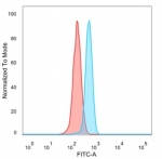 FACS staining of PFA-fixed human HeLa cells with MEF2B antibody (blue, clone PCRP-MEF2B-2F9) and unstained cells (red).