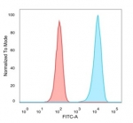 FACS staining of PFA-fixed human MCF-7 cells with LTF antibody (blue, clone LTF/4073) and isotype control (red)
