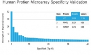 Analysis of HuProt(TM) microarray containing more than 19,000 full-length human proteins using LYZ antibody (clone LYZ/3947). These results demonstrate the foremost specificity of the LYZ/3947 mAb. Z- and S- score: The Z-score represents the strength of a signal that an antibody (in combination with a fluorescently-tagged anti-IgG secondary Ab) produces when binding to a particular protein on the HuProt(TM) array. Z-scores are described in units of standard deviations (SD's) above the mean value of all signals generated on that array. If the targets on the HuProt(TM) are arranged in descending order of the Z-score, the S-score is the difference (also in units of SD's) between the Z-scores. The S-score therefore represents the relative target specificity of an Ab to its intended target.