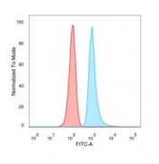FACS staining of PFA-fixed human HeLa cells with MED22 antibody (blue, clone PCRP-MED22-1E4), and unstained cells (red).
