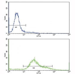 Flow cytometric analysis of HeLa cells using CD71 antibody (bottom histogram) compared to a negative control (top histogram). FITC-conjugated goat-anti-rabbit secondary Ab was used for the analysis.