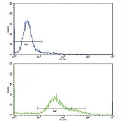 Flow cytometric analysis of HeLa cells using CD71 antibody (bottom histogram) compared to a negative control (top histogram). FITC-conjugated goat-anti-rabbit secondary Ab was used for the analysis.