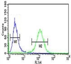 RAB27B antibody flow cytometric analysis of NCI-H460 cells (green) compared to a <a href=../search_result.php?search_txt=n1001>negative control</a> (blue). FITC-conjugated goat-anti-rabbit secondary Ab was used for the analysis.