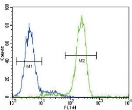 PPARG antibody flow cytometric analysis of human HepG2 cells (green) compared to a negative control (blue). FITC-conjugated goat-anti-rabbit secondary Ab was used for the analysis.