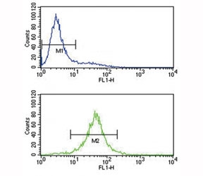 IL-10 antibody flow cytometry analysis of Jurkat cells (bottom histogram) compared to a negative control (top histogram). FITC-conjugated goat-anti-rabbit secondary Ab was used for the analysis.