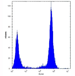 TLR4 antibody flow cytometric analysis of U251 cells (right histogram) compared to a negative control (left histogram). FITC-conjugated goat-anti-rabbit secondary Ab was used for the analysis.