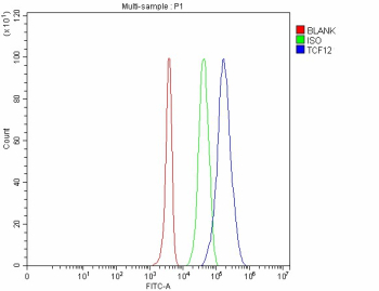 Flow Cytometry analysis of 293T cells using anti-TCF12 antibody. Overlay histogram showing 293T cells stained with (Blue line). To facilitate intracellular staining, cells were fixed with 4% paraformaldehyde and permeabilized with permeabilization buffer. The cells were blocked with 10% normal goat serum. And then incubated with rabbit anti-TCF12 antibody (1 ug/million cells) for 30 min at 20oC. DyLight 488 conjugated goat anti-rabbit IgG (5-10 ug/million cells) was used as secondary antibody for 30 minutes at 20oC. Isotype control antibody (Green line) was rabbit IgG (1 ug/million cells) used under the same conditions. Unlabelled sample without incubation with primary antibody and secondary antibody (Red line) was used as a blank control.