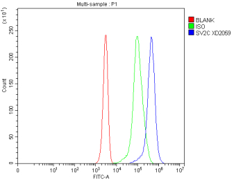 Flow Cytometry analysis of Jurkat cells using anti-SV2C antibody. Overlay histogram showing Jurkat cells stained with (Blue line). To facilitate intracellular staining, cells were fixed with 4% paraformaldehyde and permeabilized with permeabilization buffer. The cells were blocked with 10% normal goat serum. And then incubated with rabbit anti-SV2C antibody (1 ug/million cells) for 30 min at 20oC. DyLight 488 conjugated goat anti-rabbit IgG (5-10 ug/million cells) was used as secondary antibody for 30 minutes at 20oC. Isotype control antibody (Green line) was rabbit IgG (1 ug/million cells) used under the same conditions. Unlabelled sample without incubation with primary antibody and secondary antibody (Red line) was used as a blank control.