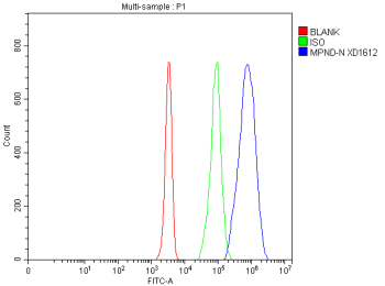 Flow Cytometry analysis of Jurkat cells using anti-MPND antibody. Overlay histogram showing Jurkat cells stained with (Blue line). To facilitate intracellular staining, cells were fixed with 4% paraformaldehyde and permeabilized with permeabilization buffer. The cells were blocked with 10% normal goat serum. And then incubated with rabbit anti-MPND antibody (1 ug/million cells) for 30 min at 20oC. DyLight 488 conjugated goat anti-rabbit IgG (5-10 ug/million cells) was used as secondary antibody for 30 minutes at 20oC. Isotype control antibody (Green line) was rabbit IgG (1 ug/million cells) used under the same conditions. Unlabelled sample without incubation with primary antibody and secondary antibody (Red line) was used as a blank control.