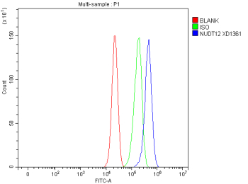 Flow Cytometry analysis of cells using anti-NUDT12 antibody. Overlay histogram showing cells stained with (Blue line). To facilitate intracellular staining, cells were fixed with 4% paraformaldehyde and permeabilized with permeabilization buffer. The cells were blocked with 10% normal goat serum. And then incubated with rabbit anti-NUDT12 antibody (1 ug/million cells) for 30 min at 20oC. DyLight 488 conjugated goat anti-rabbit IgG (5-10 ug/million cells) was used as secondary antibody for 30 minutes at 20oC. Isotype control antibody (Green line) was rabbit IgG (1 ug/million cells) used under the same conditions. Unlabelled sample without incubation with primary antibody and secondary antibody (Red line) was used as a blank control.
