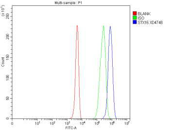 Flow Cytometry analysis of 293T cells using anti-STX16 antibody. Overlay histogram showing 293T cells stained with (Blue line). To facilitate intracellular staining, cells were fixed with 4% paraformaldehyde and permeabilized with permeabilization buffer. The cells were blocked with 10% normal goat serum. And then incubated with rabbit anti-STX16 antibody (1 ug/million cells) for 30 min at 20oC. DyLight 488 conjugated goat anti-rabbit IgG (5-10 ug/million cells) was used as secondary antibody for 30 minutes at 20oC. Isotype control antibody (Green line) was rabbit IgG (1 ug/million cells) used under the same conditions. Unlabelled sample without incubation with primary antibody and secondary antibody (Red line) was used as a blank control.