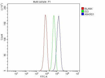 Flow Cytometry analysis of HepG2 cells using anti-ANKRD1 antibody. Overlay histogram showing HepG2 cells stained with (Blue line). To facilitate intracellular staining, cells were fixed with 4% paraformaldehyde and permeabilized with permeabilization buffer. The cells were blocked with 10% normal goat serum. And then incubated with rabbit anti-ANKRD1 antibody (1 ug/million cells) for 30 min at 20oC. DyLight 488 conjugated goat anti-rabbit IgG (5-10 ug/million cells) was used as secondary antibody for 30 minutes at 20oC. Isotype control antibody (Green line) was rabbit IgG (1 ug/million cells) used under the same conditions. Unlabelled sample without incubation with primary antibody and secondary antibody (Red line) was used as a blank control.