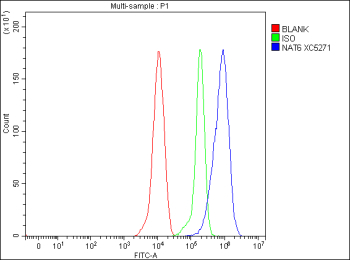 Flow Cytometry analysis of THP-1 cells using anti-NAA80 antibody. Overlay histogram showing THP-1 cells stained with (Blue line). To facilitate intracellular staining, cells were fixed with 4% paraformaldehyde and permeabilized with permeabilization buffer. The cells were blocked with 10% normal goat serum. And then incubated with rabbit anti-NAA80 antibody (1 ug/million cells) for 30 min at 20oC. DyLight 488 conjugated goat anti-rabbit IgG (5-10 ug/million cells) was used as secondary antibody for 30 minutes at 20oC. Isotype control antibody (Green line) was rabbit IgG (1 ug/million cells) used under the same conditions. Unlabelled sample without incubation with primary antibody and secondary antibody (Red line) was used as a blank control.