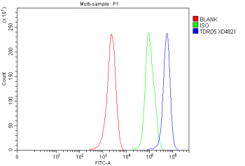 Flow Cytometry analysis of MCF-7 cells using anti-TDRD5 antibody. Overlay histogram showing MCF-7 cells stained with (Blue line). To facilitate intracellular staining, cells were fixed with 4% paraformaldehyde and permeabilized with permeabilization buffer. The cells were blocked with 10% normal goat serum. And then incubated with rabbit anti-TDRD5 antibody (1 ug/million cells) for 30 min at 20oC. DyLight 488 conjugated goat anti-rabbit IgG (5-10 ug/million cells) was used as secondary antibody for 30 minutes at 20oC. Isotype control antibody (Green line) was rabbit IgG (1 ug/million cells) used under the same conditions. Unlabelled sample without incubation with primary antibody and secondary antibody (Red line) was used as a blank control.