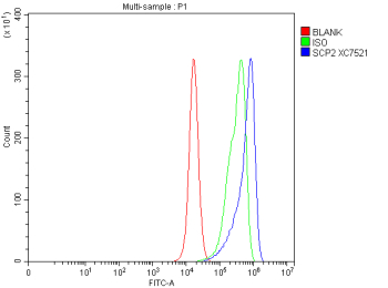 Flow Cytometry analysis of PC-3 cells using anti-SCP2 antibody. Overlay histogram showing PC-3 cells stained with (Blue line). To facilitate intracellular staining, cells were fixed with 4% paraformaldehyde and permeabilized with permeabilization buffer. The cells were blocked with 10% normal goat serum. And then incubated with rabbit anti-SCP2 antibody (1 ug/million cells) for 30 min at 20oC. DyLight 488 conjugated goat anti-rabbit IgG (5-10 ug/million cells) was used as secondary antibody for 30 minutes at 20oC. Isotype control antibody (Green line) was rabbit IgG (1 ug/million cells) used under the same conditions. Unlabelled sample without incubation with primary antibody and secondary antibody (Red line) was used as a blank control.