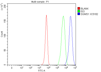 Flow Cytometry analysis of K562 cells using anti-K562 cells antibody. Overlay histogram showing K562 cells stained with (Blue line). To facilitate intracellular staining, cells were fixed with 4% paraformaldehyde and permeabilized with permeabilization buffer. The cells were blocked with 10% normal goat serum. And then incubated with rabbit anti-K562 cells antibody (1 ug/million cells) for 30 min at 20oC. DyLight 488 conjugated goat anti-rabbit IgG (5-10 ug/million cells) was used as secondary antibody for 30 minutes at 20oC. Isotype control antibody (Green line) was rabbit IgG (1 ug/million cells) used under the same conditions. Unlabelled sample without incubation with primary antibody and secondary antibody (Red line) was used as a blank control.