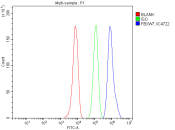 Flow Cytometry analysis of HepG2 cells using anti-FBXW7 antibody. Overlay histogram showing HepG2 cells stained with (Blue line). To facilitate intracellular staining, cells were fixed with 4% paraformaldehyde and permeabilized with permeabilization buffer. The cells were blocked with 10% normal goat serum. And then incubated with rabbit anti-FBXW7 antibody (1 ug/million cells) for 30 min at 20oC. DyLight 488 conjugated goat anti-rabbit IgG (5-10 ug/million cells) was used as secondary antibody for 30 minutes at 20oC. Isotype control antibody (Green line) was rabbit IgG (1 ug/million cells) used under the same conditions. Unlabelled sample without incubation with primary antibody and secondary antibody (Red line) was used as a blank control.