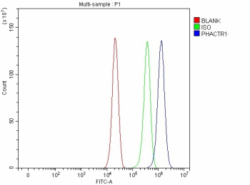 Flow Cytometry analysis of cells using anti-PHACTR1 antibody. Overlay histogram showing cells stained with (Blue line). To facilitate intracellular staining, cells were fixed with 4% paraformaldehyde and permeabilized with permeabilization buffer. The cells were blocked with 10% normal goat serum. And then incubated with rabbit anti-PHACTR1 antibody (1 ug/million cells) for 30 min at 20oC. DyLight 488 conjugated goat anti-rabbit IgG (5-10 ug/million cells) was used as secondary antibody for 30 minutes at 20oC. Isotype control antibody (Green line) was rabbit IgG (1 ug/million cells) used under the same conditions. Unlabelled sample without incubation with primary antibody and secondary antibody (Red line) was used as a blank control.