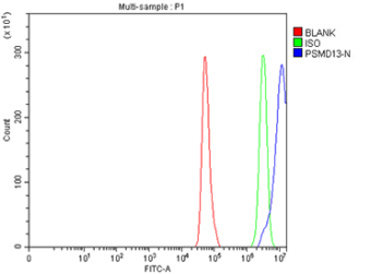 Flow Cytometry analysis of Hela cells using anti-PSMD13 antibody. Overlay histogram showing Hela cells stained with (Blue line). To facilitate intracellular staining, cells were fixed with 4% paraformaldehyde and permeabilized with permeabilization buffer. The cells were blocked with 10% normal goat serum. And then incubated with rabbit anti-PSMD13 antibody (1 ug/million cells) for 30 min at 20oC. DyLight 488 conjugated goat anti-rabbit IgG (5-10 ug/million cells) was used as secondary antibody for 30 minutes at 20oC. Isotype control antibody (Green line) was rabbit IgG (1 ug/million cells) used under the same conditions. Unlabelled sample (Red line) was also used as a control.