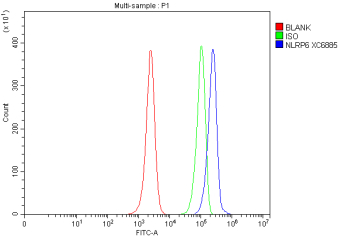 Flow Cytometry analysis of HL-60 cells using anti-NLRP6 antibody. Overlay histogram showing HL-60 cells stained with (Blue line). To facilitate intracellular staining, cells were fixed with 4% paraformaldehyde and permeabilized with permeabilization buffer. The cells were blocked with 10% normal goat serum. And then incubated with rabbit anti-NLRP6 antibody (1 ug/million cells) for 30 min at 20oC. DyLight 488 conjugated goat anti-rabbit IgG (5-10 ug/million cells) was used as secondary antibody for 30 minutes at 20oC. Isotype control antibody (Green line) was rabbit IgG (1 ug/million cells) used under the same conditions. Unlabelled sample without incubation with primary antibody and secondary antibody (Red line) was used as a blank control.