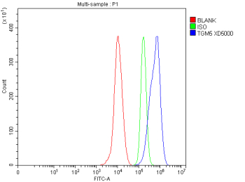 Flow Cytometry analysis of THP-1 cells using anti-TGM5 antibody. Overlay histogram showing THP-1 cells stained with (Blue line). To facilitate intracellular staining, cells were fixed with 4% paraformaldehyde and permeabilized with permeabilization buffer. The cells were blocked with 10% normal goat serum. And then incubated with rabbit anti-TGM5 antibody (1 ug/million cells) for 30 min at 20oC. DyLight 488 conjugated goat anti-rabbit IgG (5-10 ug/million cells) was used as secondary antibody for 30 minutes at 20oC. Isotype control antibody (Green line) was rabbit IgG (1 ug/million cells) used under the same conditions. Unlabelled sample without incubation with primary antibody and secondary antibody (Red line) was used as a blank control.