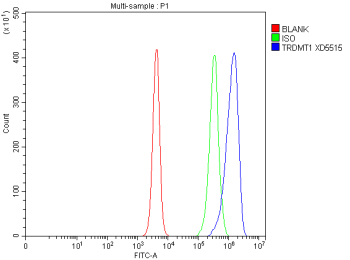 Flow Cytometry analysis of RM-1 cells using anti-Dnmt2 antibody. Overlay histogram showing RM-1 cells stained with (Blue line). To facilitate intracellular staining, cells were fixed with 4% paraformaldehyde and permeabilized with permeabilization buffer. The cells were blocked with 10% normal goat serum. And then incubated with rabbit anti-Dnmt2 antibody (1 ug/million cells) for 30 min at 20oC. DyLight 488 conjugated goat anti-rabbit IgG (5-10 ug/million cells) was used as secondary antibody for 30 minutes at 20oC. Isotype control antibody (Green line) was rabbit IgG (1 ug/million cells) used under the same conditions. Unlabelled sample without incubation with primary antibody and secondary antibody (Red line) was used as a blank control.