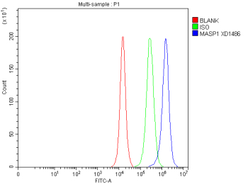 Flow Cytometry analysis of PC-3 cells using anti-MASP1 antibody. Overlay histogram showing PC-3 cells stained with (Blue line). The cells were fixed with 4% paraformaldehyde and blocked with 10% normal goat serum. And then incubated with rabbit anti-MASP1 antibody (1 ug/million cells) for 30 min at 20oC. DyLight 488 conjugated goat anti-rabbit IgG (5-10 ug/million cells) was used as secondary antibody for 30 minutes at 20oC. Isotype control antibody (Green line) was rabbit IgG (1 ug/million cells) used under the same conditions. Unlabelled sample without incubation with primary antibody and secondary antibody (Red line) was used as a blank control.