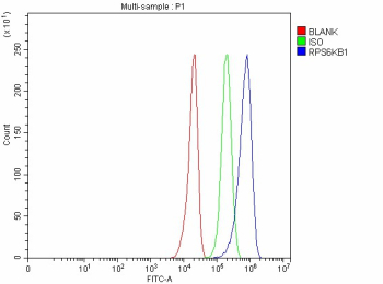 Flow Cytometry analysis of U251 cells using anti- p70 S6K antibody. Overlay histogram showing U251 cells stained with (Blue line). To facilitate intracellular staining, cells were fixed with 4% paraformaldehyde and permeabilized with permeabilization buffer. The cells were blocked with 10% normal goat serum. And then incubated with rabbit anti- p70 S6K antibody (1 ug/million cells) for 30 min at 20oC. DyLight 488 conjugated goat anti-rabbit IgG (5-10 ug/million cells) was used as secondary antibody for 30 minutes at 20oC. Isotype control antibody (Green line) was rabbit IgG (1 ug/million cells) used under the same conditions. Unlabelled sample without incubation with primary antibody and secondary antibody (Red line) was used as a blank control.