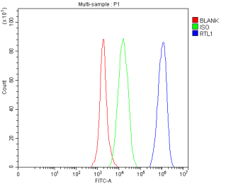 Flow Cytometry analysis of SH-SY5Y cells using anti-RTL1 antibody. Overlay histogram showing SH-SY5Y cells stained with (Blue line). The cells were fixed with 4% paraformaldehyde and blocked with 10% normal goat serum. And then incubated with rabbit anti-RTL1 antibody (1 ug/million cells) for 30 min at 20oC. DyLight 488 conjugated goat anti-rabbit IgG (5-10 ug/million cells) was used as secondary antibody for 30 minutes at 20oC. Isotype control antibody (Green line) was rabbit IgG (1 ug/million cells) used under the same conditions. Unlabelled sample without incubation with primary antibody and secondary antibody (Red line) was used as a blank control.