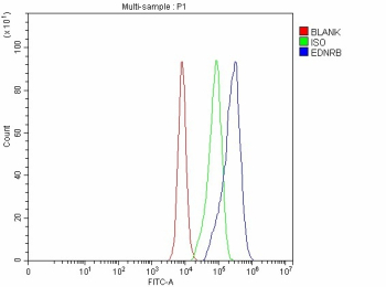 Flow Cytometry analysis of CACO-2 cells using anti-EDNRB antibody. Overlay histogram showing CACO-2 cells stained with (Blue line). The cells were fixed with 4% paraformaldehyde and blocked with 10% normal goat serum. And then incubated with rabbit anti-EDNRB antibody (1 ug/million cells) for 30 min at 20oC. DyLight 488 conjugated goat anti-rabbit IgG (5-10 ug/million cells) was used as secondary antibody for 30 minutes at 20oC. Isotype control antibody (Green line) was rabbit IgG (1 ug/million cells) used under the same conditions. Unlabelled sample without incubation with primary antibody and secondary antibody (Red line) was used as a blank control.