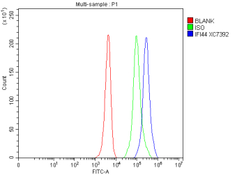 Flow Cytometry analysis of mouse Hepa1-6 cells using anti-IFI44 antibody. Overlay histogram showing Hepa1-6 cells stained with (Blue line). To facilitate intracellular staining, cells were fixed with 4% paraformaldehyde and permeabilized with permeabilization buffer. The cells were blocked with 10% normal goat serum. And then incubated with rabbit anti-IFI44 antibody (1 ug/million cells) for 30 min at 20oC. DyLight 488 conjugated goat anti-rabbit IgG (5-10 ug/million cells) was used as secondary antibody for 30 minutes at 20oC. Isotype control antibody (Green line) was rabbit IgG (1 ug/million cells) used under the same conditions. Unlabelled sample without incubation with primary antibody and secondary antibody (Red line) was used as a blank control.