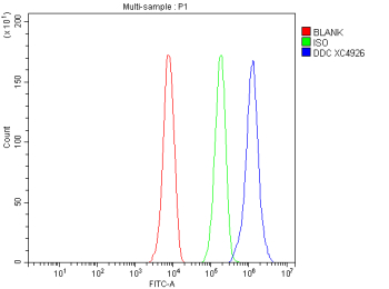 Flow Cytometry analysis of HepG2 cells using anti-DDC antibody. Overlay histogram showing HepG2 cells stained with (Blue line). To facilitate intracellular staining, cells were fixed with 4% paraformaldehyde and permeabilized with permeabilization buffer. The cells were blocked with 10% normal goat serum. And then incubated with rabbit anti-DDC antibody (1 ug/million cells) for 30 min at 20oC. DyLight 488 conjugated goat anti-rabbit IgG (5-10 ug/million cells) was used as secondary antibody for 30 minutes at 20oC. Isotype control antibody (Green line) was rabbit IgG (1 ug/million cells) used under the same conditions. Unlabelled sample without incubation with primary antibody and secondary antibody (Red line) was used as a blank control.
