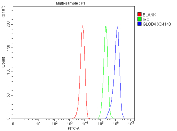 Flow Cytometry analysis of HepG2 cells using anti-GLOD4 antibody. Overlay histogram showing HepG2 cells stained with (Blue line). To facilitate intracellular staining, cells were fixed with 4% paraformaldehyde and permeabilized with permeabilization buffer. The cells were blocked with 10% normal goat serum. And then incubated with rabbit anti-GLOD4 antibody (1 ug/million cells) for 30 min at 20oC. DyLight 488 conjugated goat anti-rabbit IgG (5-10 ug/million cells) was used as secondary antibody for 30 minutes at 20oC. Isotype control antibody (Green line) was rabbit IgG (1 ug/million cells) used under the same conditions. Unlabelled sample without incubation with primary antibody and secondary antibody (Red line) was used as a blank control.