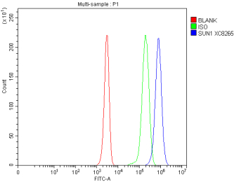 Flow Cytometry analysis of Jurkat cells using anti-SUN1 antibody. Overlay histogram showing human Jurkat cells stained with (Blue line). To facilitate intracellular staining, cells were fixed with 4% paraformaldehyde and permeabilized with permeabilization buffer. The cells were blocked with 10% normal goat serum. And then incubated with rabbit anti-SUN1 antibody (1 ug/million cells) for 30 min at 20oC. DyLight 488 conjugated goat anti-rabbit IgG (5-10 ug/million cells) was used as secondary antibody for 30 minutes at 20oC. Isotype control antibody (Green line) was rabbit IgG (1 ug/million cells) used under the same conditions. Unlabelled sample without incubation with primary antibody and secondary antibody (Red line) was used as a blank control.