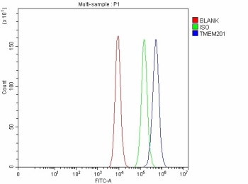 Flow Cytometry analysis of Caco-2 cells using anti-TMEM201 antibody. Overlay histogram showing Caco-2 cells stained with (Blue line). To facilitate intracellular staining, cells were fixed with 4% paraformaldehyde and permeabilized with permeabilization buffer. The cells were blocked with 10% normal goat serum. And then incubated with rabbit anti-TMEM201 antibody (1 ug/million cells) for 30 min at 20oC. DyLight 488 conjugated goat anti-rabbit IgG (5-10 ug/million cells) was used as secondary antibody for 30 minutes at 20oC. Isotype control antibody (Green line) was rabbit IgG (1 ug/million cells) used under the same conditions. Unlabelled sample without incubation with primary antibody and secondary antibody (Red line) was used as a blank control.